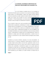 DESARROLLO INTEGRAL SOSTENIBLE E IMPORTANCIA DE IMPLEMENTARSE EN EL DEPARTAMENTO DE CASANARE, COL. 