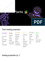 Plants For Witchcraft and Their Uses.