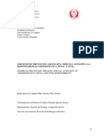 Servicios de Prevencion Ajenos (Spa) - Especial Atencion A La Responsabilidad Administrativa, Penal y Civil.