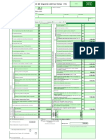 Formulario Dian 300