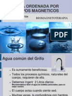 Agua Ordenada Por Campos Magnéticos 2022