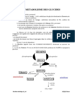 SVI - S4 - Biochimie Métabolique - HAJJAJ