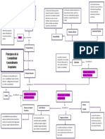 Mapa Conceptual