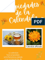 Propiedades de La Calendula