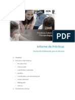 Informe Prácticas Psicopedagogía Estructura Análisis