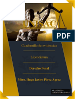 CUADERNILLO Derecho Penal Mtro. Hugo Javier Pérez Agraz