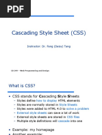 Cascading Style Sheet (CSS) : Instructor: Dr. Fang (Daisy) Tang