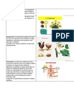 Adaptación: Los Seres Vivos Tienen La Capacidad de