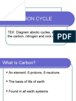 The Carbon Cycle: TEK: Diagram Abiotic Cycles, Including The Carbon, Nitrogen and Rock Cycles