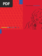 Responsanilidade Socioambiental - MBA DRS - Paula Chies Schommer - Jan 2008