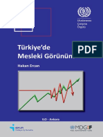 UNDP-TR-YEM - Mesleki Gorunum - Basim - TR