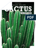_il_grande_libro_dei_cactus_e_delle_piante_grasse_estratto
