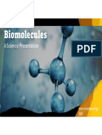 4 Types of Biomolecules Explained