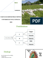 Virologi Ai