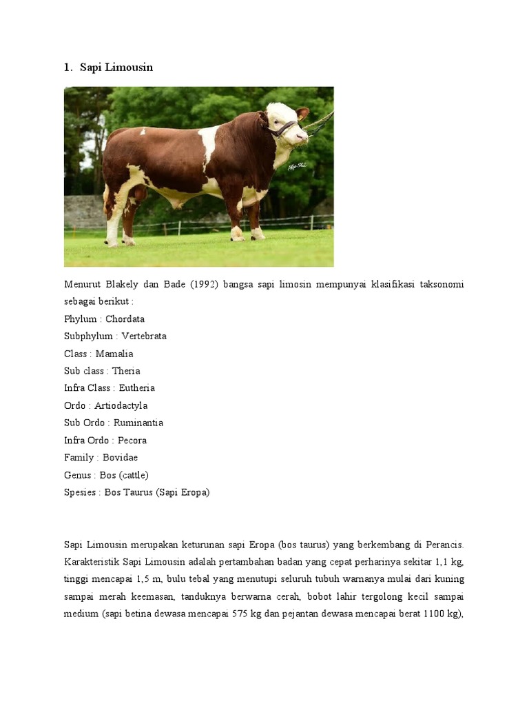 Limousin & Redpoll | PDF