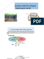 Kuliah Ke-11 Interaksi Mikroba Daengan Lingkungan Tanah