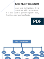 SQL (Structured Query Langu