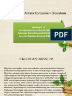 Keterkaitan Antara Komponen Ekosistem Kelompok 10 IIC