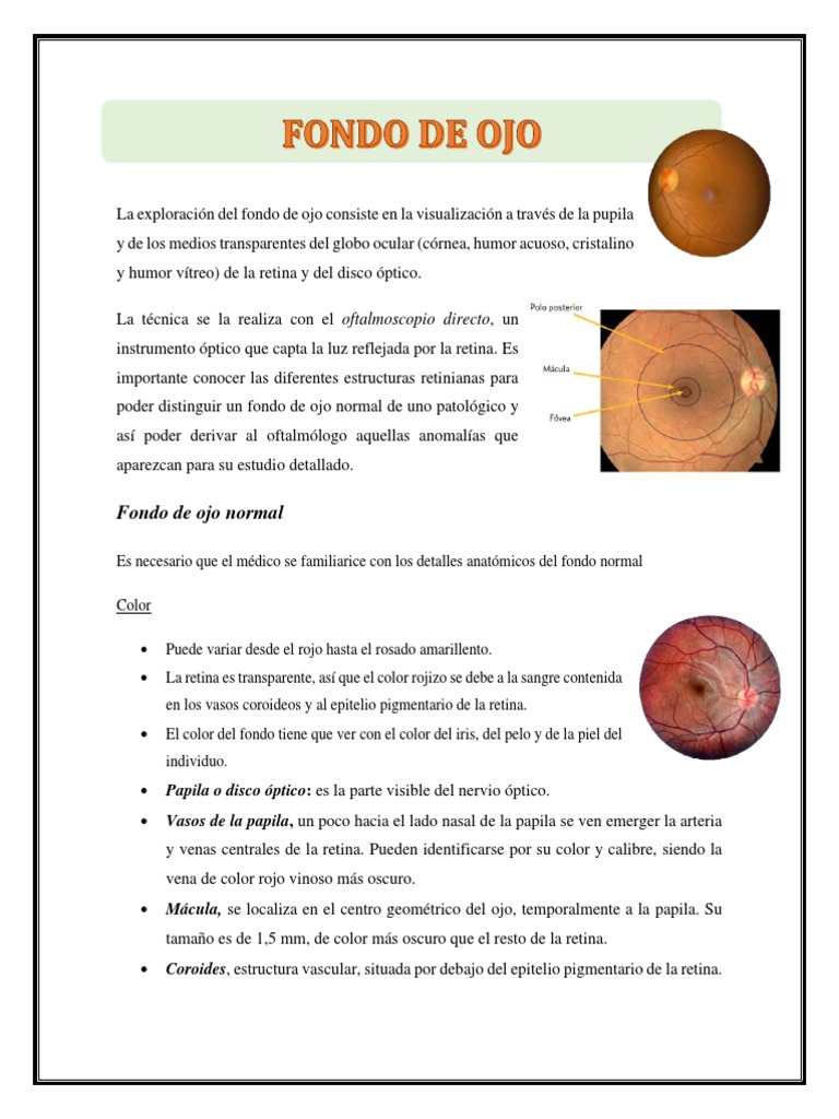 Exploración del Fondo de Ojo Normal | PDF | Ojo humano | Sistema nervioso