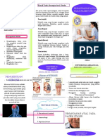 Leaflet-Stroke-pdf