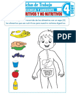 Alimentos Nutritivos y No Nutritivos para Ninos de 4 Anos