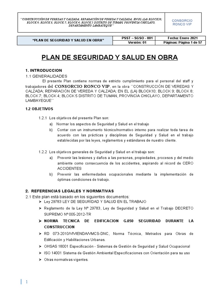 Plan de Seguridad y Salud en Obra | PDF