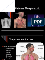 Sistema Respiratorio - 8