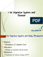 Digestive System and Disease