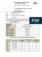 Informe Evaluación Diagnóstica-Comunicación