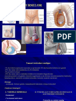 10 Patologia burselor