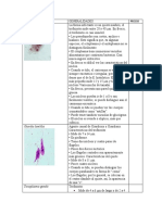 Protozoarios y Algas