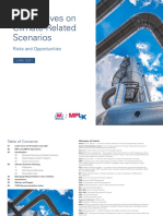 Perspectives On Climate-Related Scenarios: Risks and Opportunities