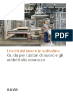 I Rischi Del Lavoro in Solitudine: Guida Per I Datori Di Lavoro e Gli Addetti Alla Sicurezza