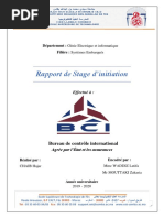 BCI pdf