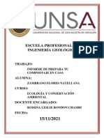 Informe Sobre El Compostaje - Zambrano Flores Nayeli Ana