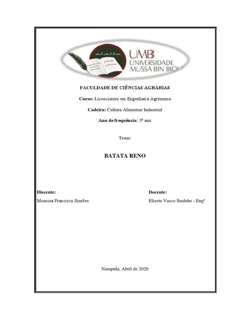 Batata Reno | PDF | Batata | Irrigação