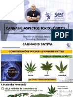 AULA Cannabis Mai 2022