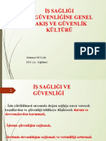 İş Sağliği Ve Güvenliğine Genel Bakiş Ve Güvenlik Kültürü: Mehmet DUYAR İGU (A) / Eğitimci