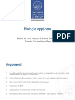 1-Membrana e Nucleo