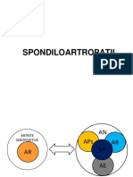 BFKT Spondilartropatii 2022