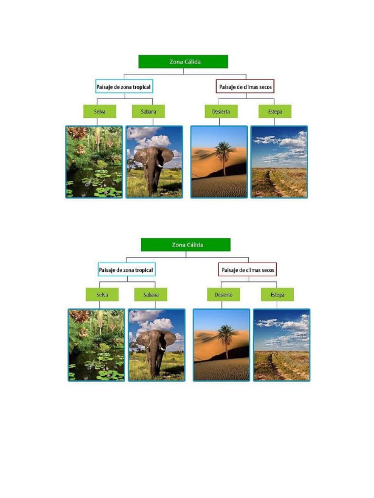 Paisajes Zona Cálida | PDF