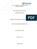 Trabajo Final de H, Seguridad y Salud en El Trabajo