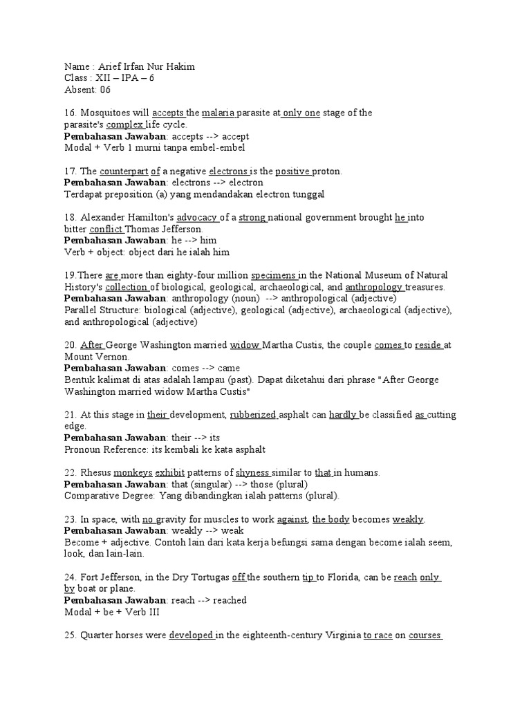 Student Worksheet with Grammar Corrections PDF Adjective