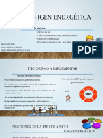 Pmo - Igen Energética