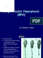 4.bph (Dr. Alpaslan Yüksel)