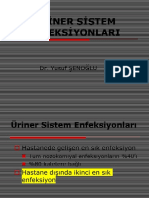 Üriner Sistem Enfeksiyonu (Dr. Y.Şenoğlu)