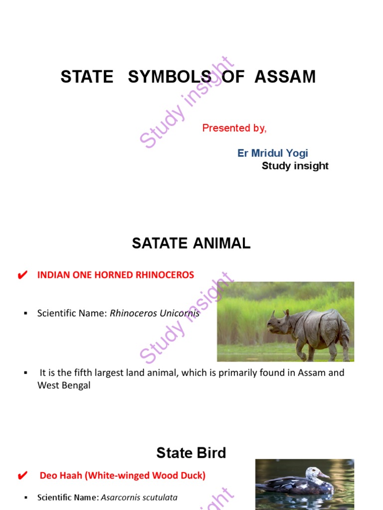 State Symbols Of Assam
