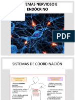 Sistema Nervioso e Endócrino