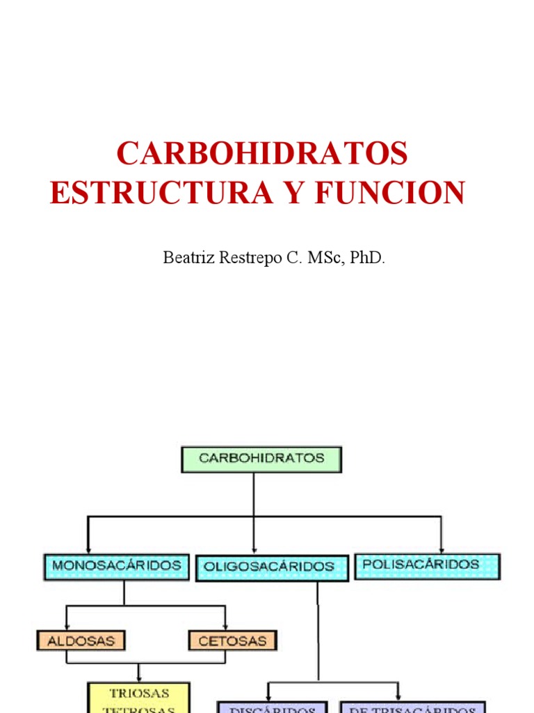 Carbohidratos Estructura | PDF | Carbohidratos | Cartílago