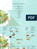 Mapa Mental Nutrición